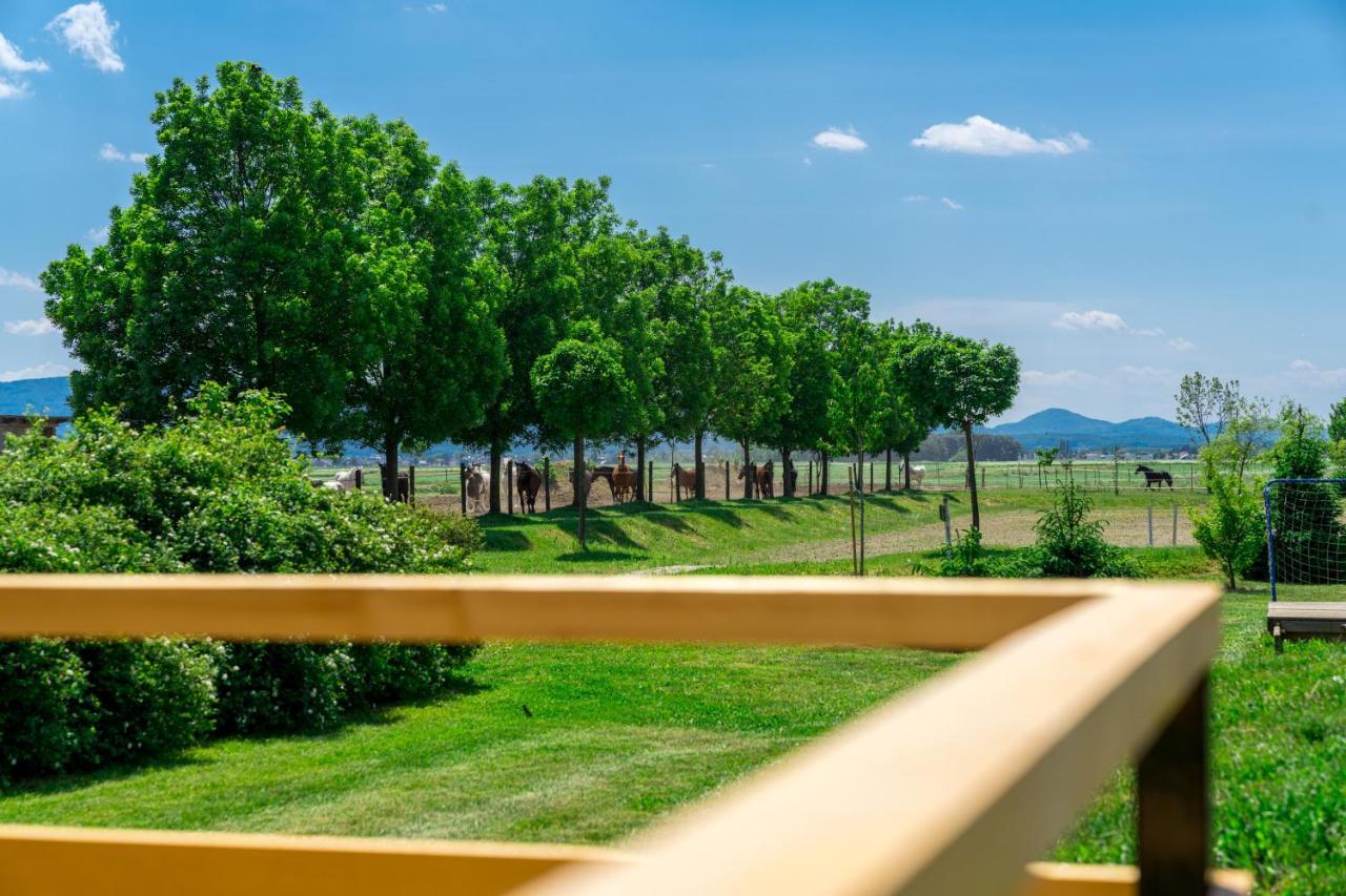 ホテル Horse Glamping Park Cirkovce エクステリア 写真